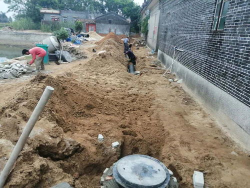 多管齊下，打造埠場生態文明新面貌——淺談土壤環境污染防治服務體系建設