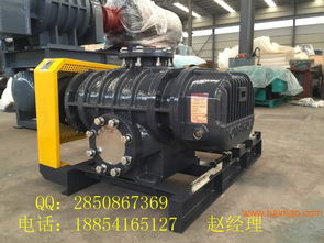 供應(yīng)沼氣羅茨鼓風機 價格選型 廠家直銷,供應(yīng)沼氣羅茨鼓風機 價格選型 廠家直銷生產(chǎn)廠家,供應(yīng)沼氣羅茨鼓風機 價格選型 廠家直銷價格