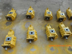 專業雙聯齒輪油泵選購指南 廠家、型號、質量與價格全解析